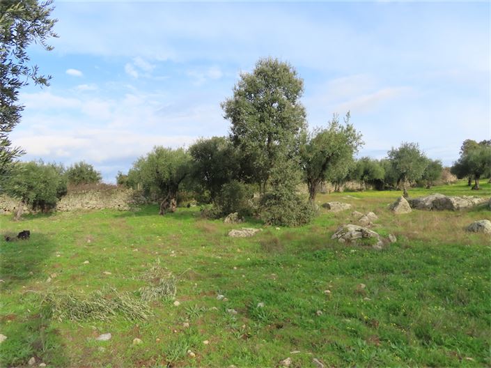 Image No.12-Property for sale