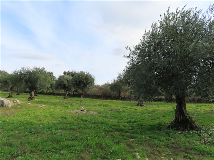 Image No.14-Property for sale