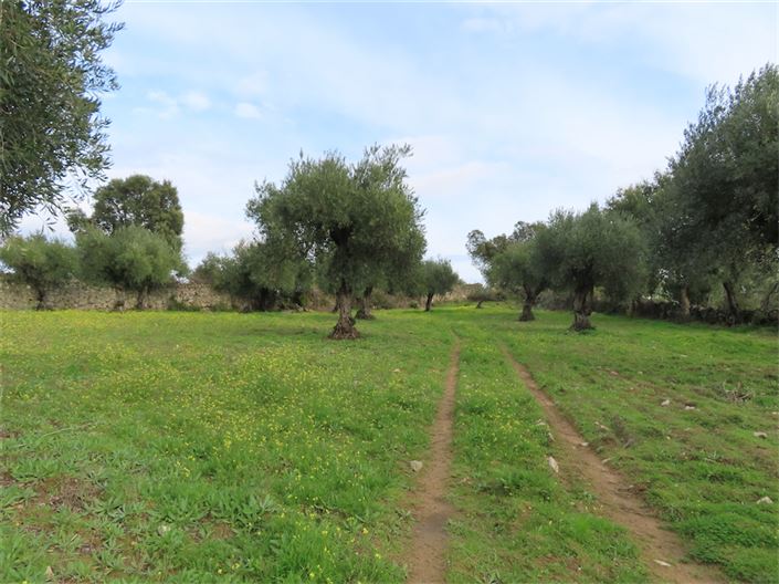 Image No.15-Property for sale