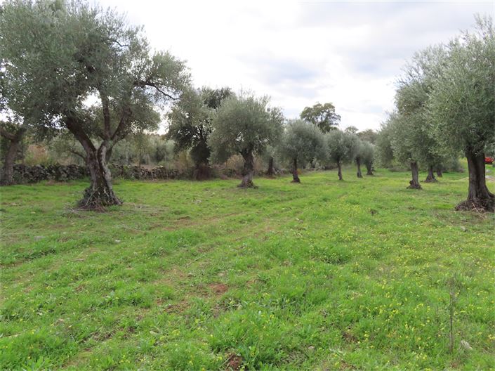 Image No.16-Property for sale