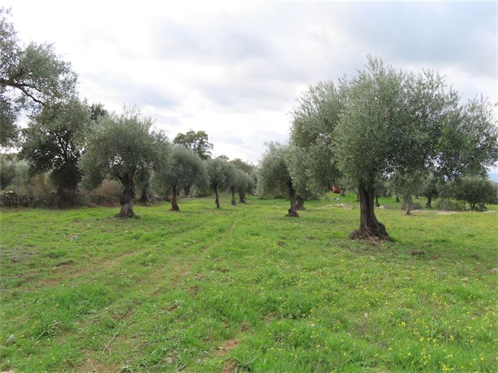 Image No.17-Property for sale