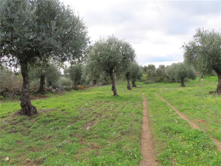 Image No.18-Property for sale