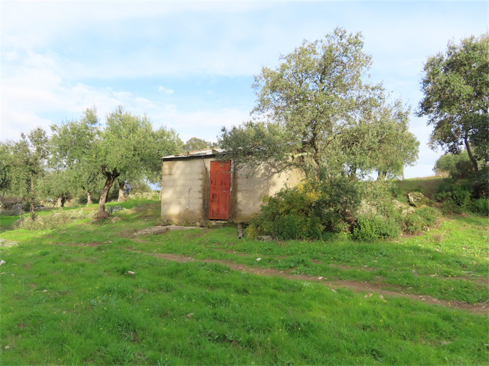 Image No.2-Property for sale