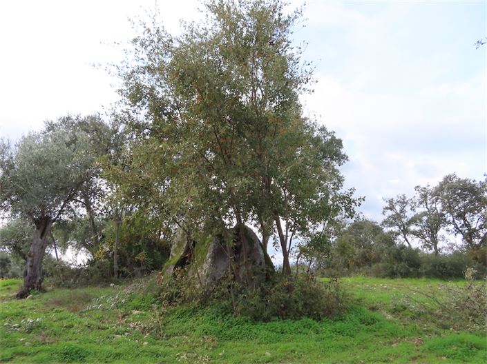 Image No.20-Property for sale