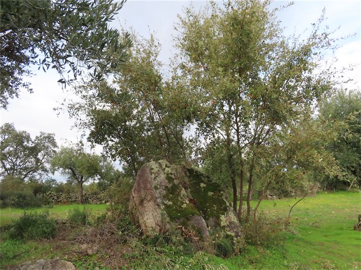 Image No.21-Property for sale