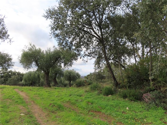 Image No.22-Property for sale