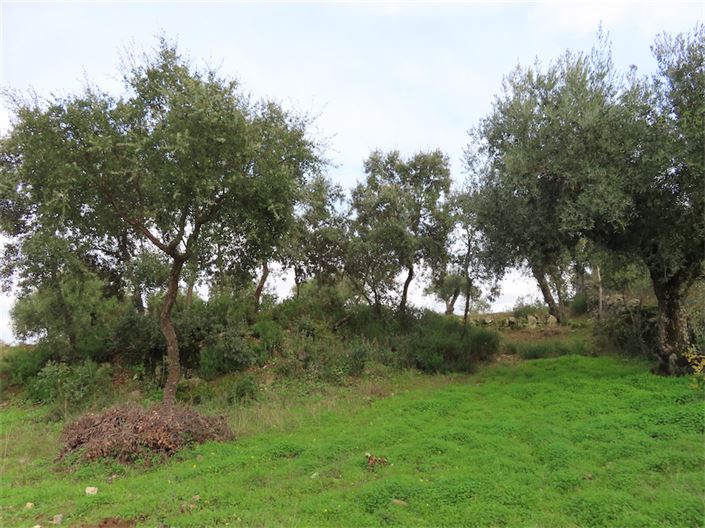 Image No.23-Property for sale