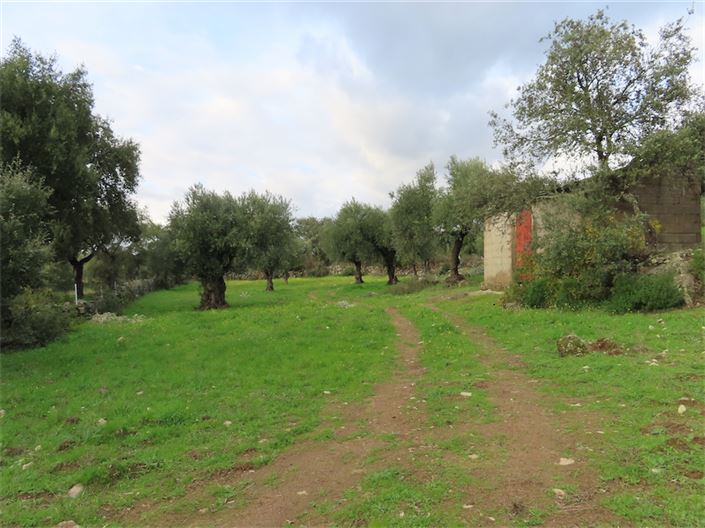 Image No.24-Property for sale