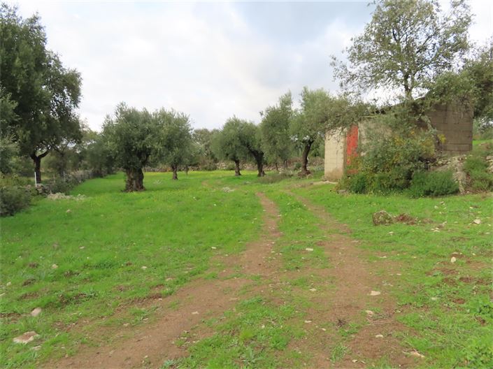 Image No.25-Property for sale