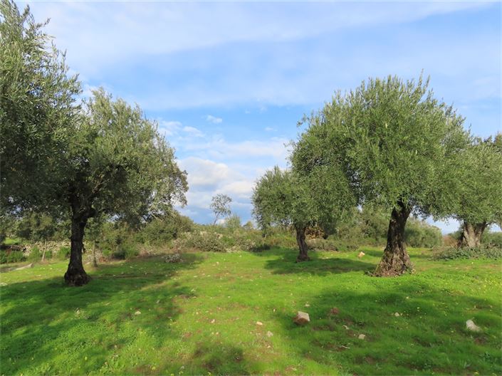 Image No.5-Property for sale