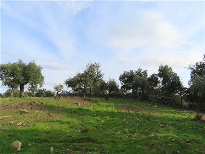 Image No.6-Property for sale