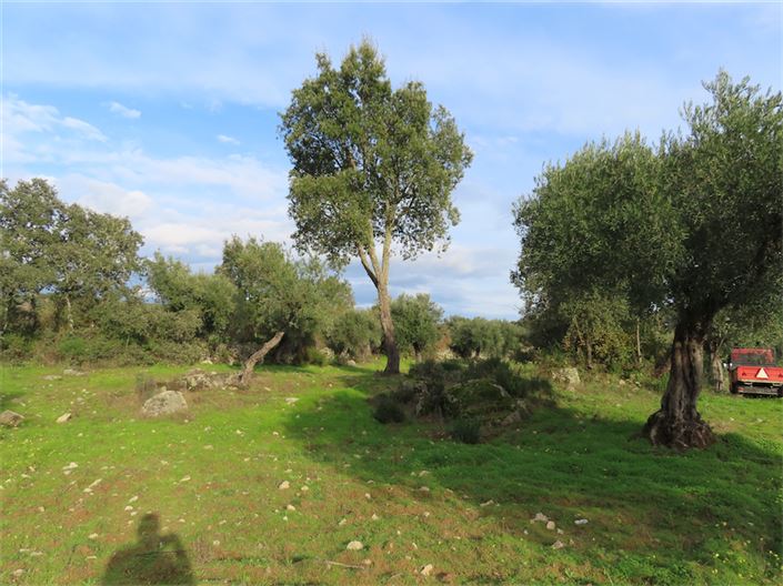 Image No.7-Property for sale