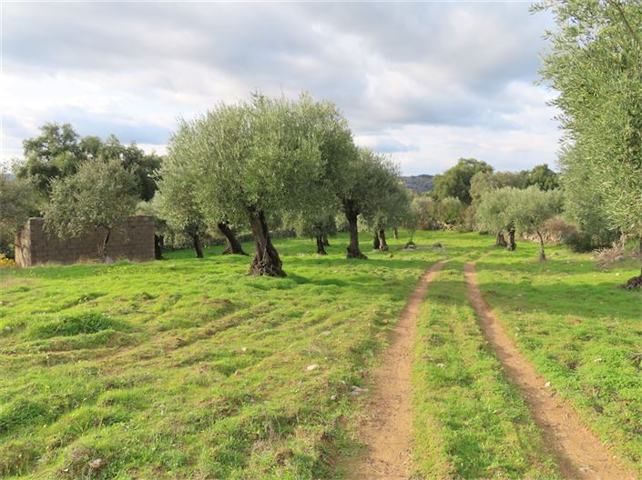 Image No.8-Property for sale