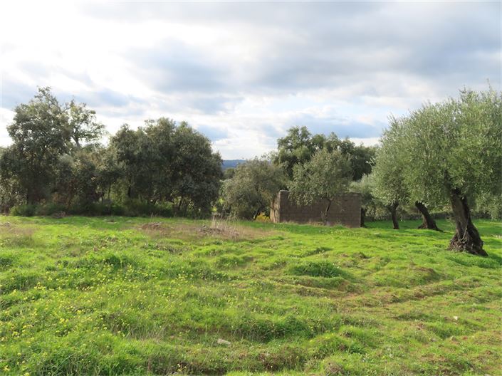 Image No.9-Property for sale