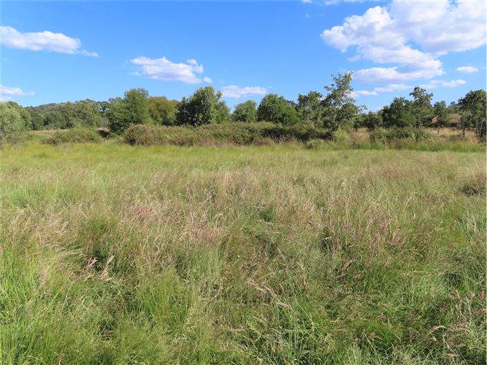 Image No.13-Property for sale