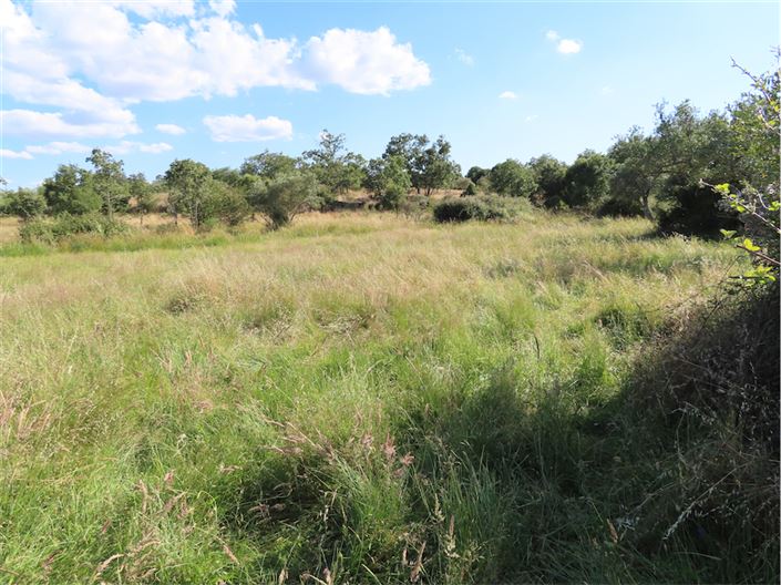 Image No.14-Property for sale