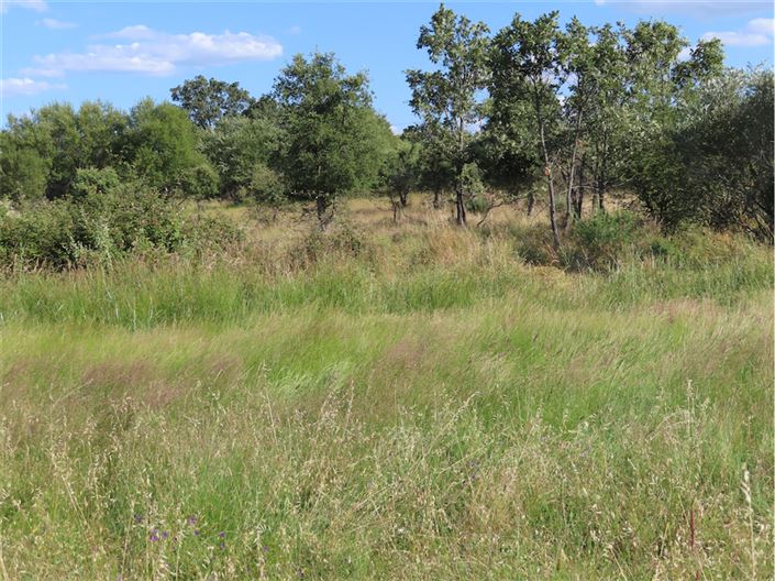 Image No.17-Property for sale