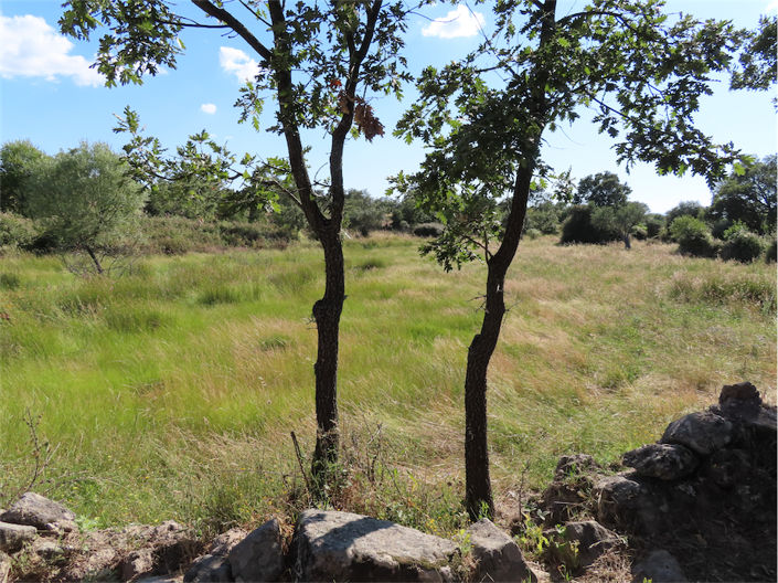 Image No.7-Property for sale