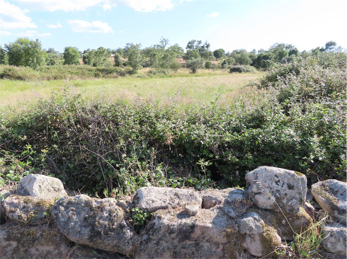 Image No.9-Property for sale