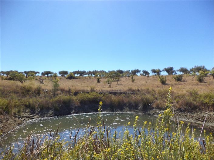 Image No.11-Property for sale