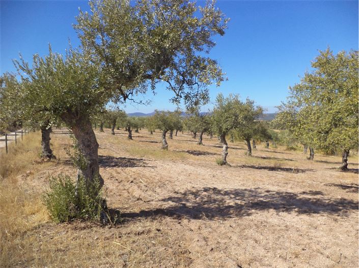 Image No.12-Property for sale