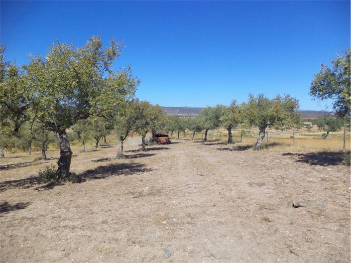 Image No.13-Property for sale