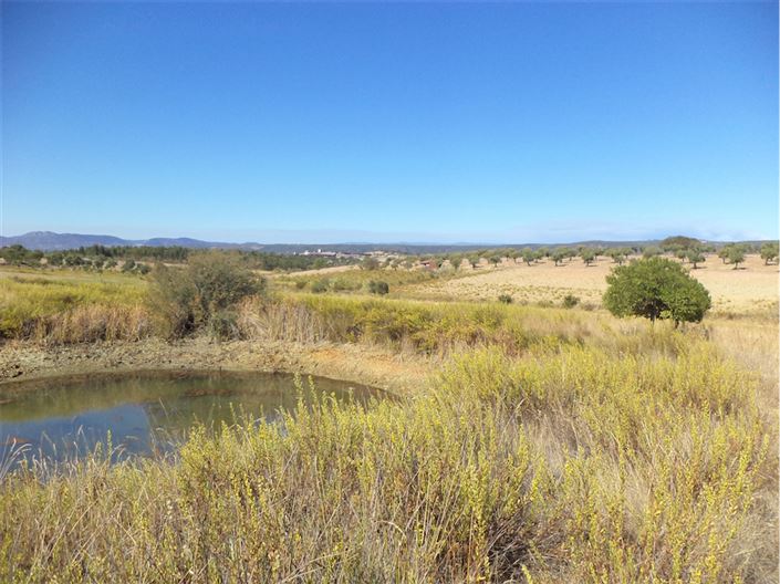 Image No.14-Property for sale