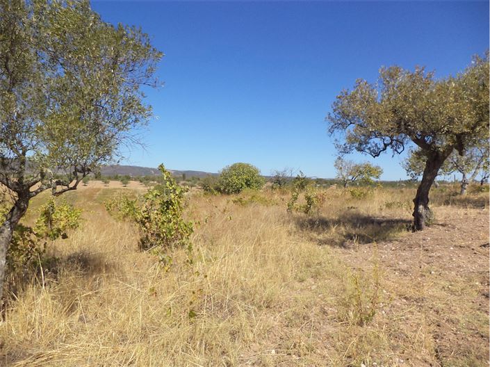 Image No.15-Property for sale