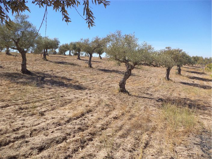 Image No.16-Property for sale