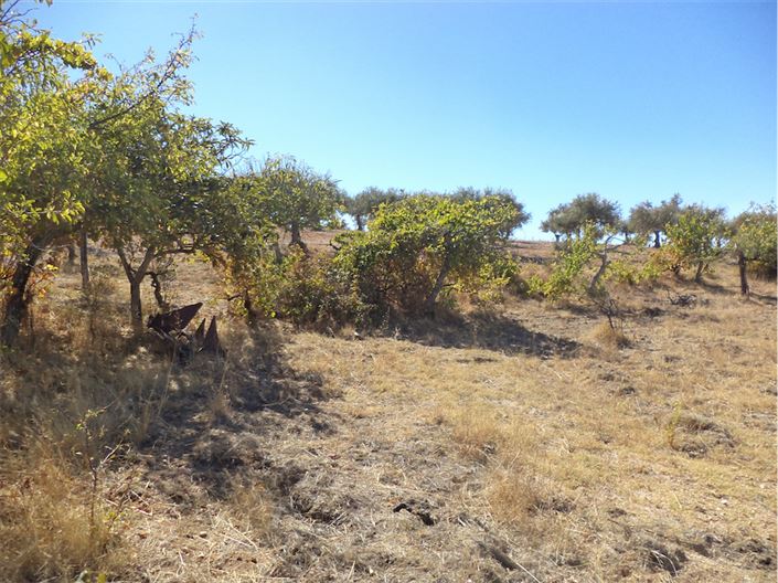 Image No.17-Property for sale