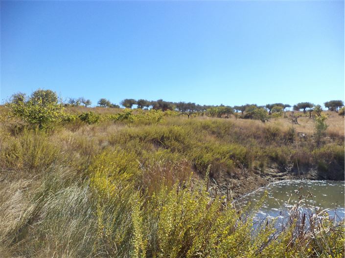 Image No.19-Property for sale