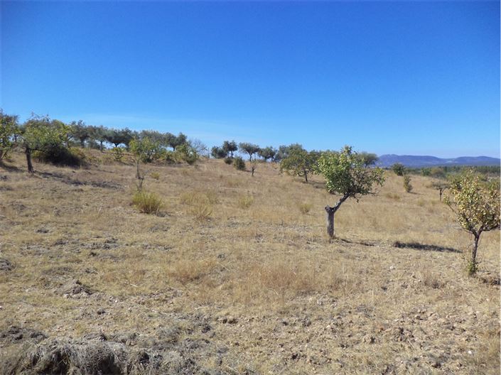 Image No.20-Property for sale