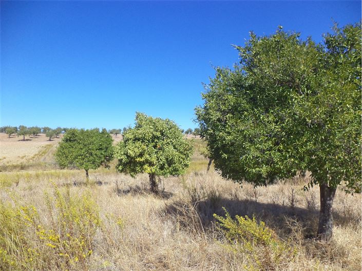 Image No.3-Property for sale