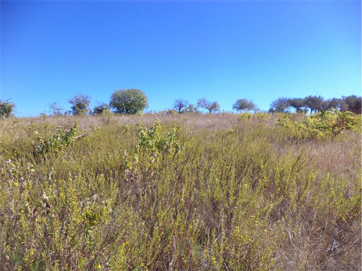 Image No.4-Property for sale