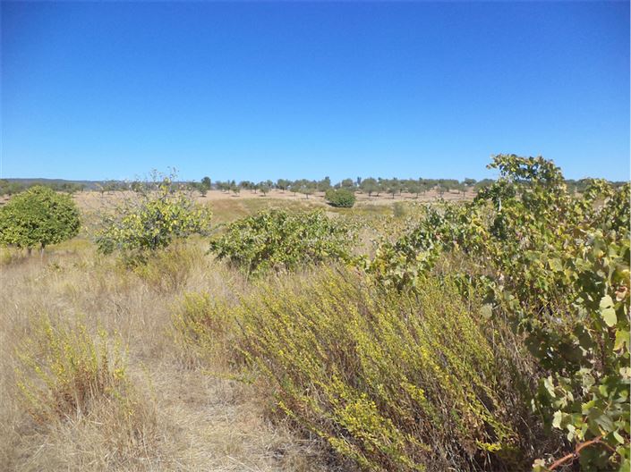 Image No.5-Property for sale