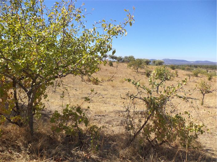 Image No.7-Property for sale