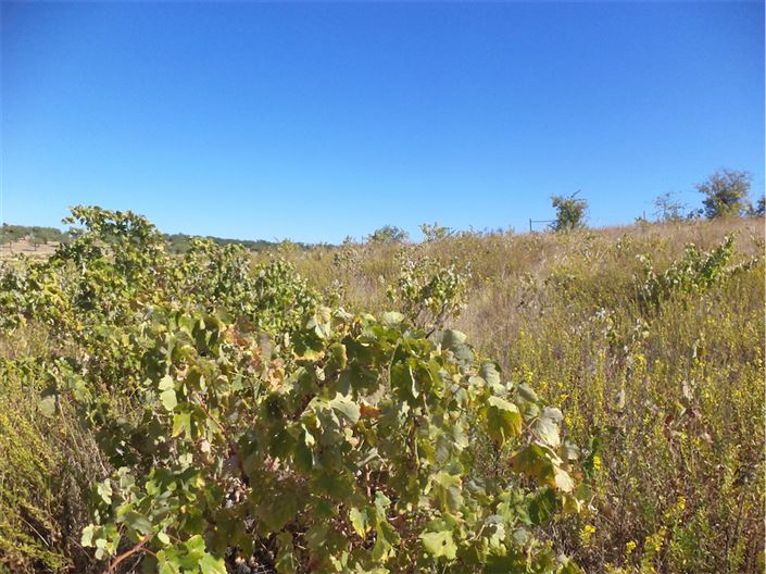 Image No.8-Property for sale