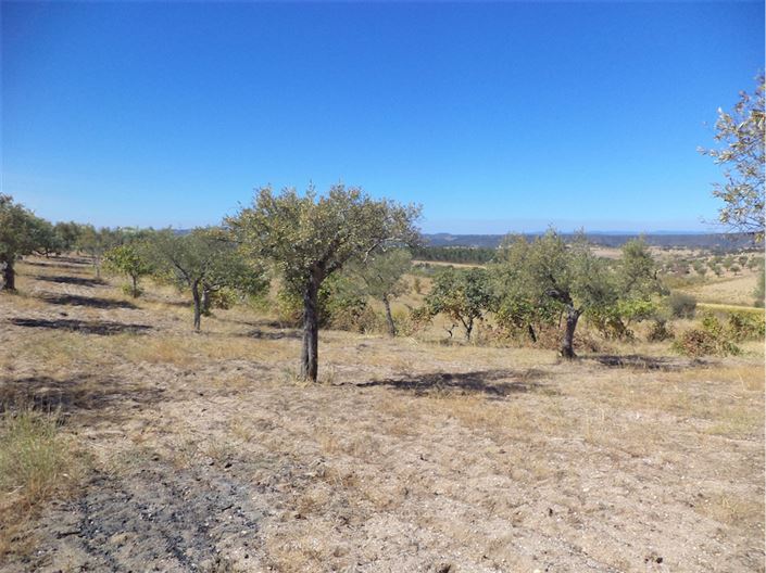 Image No.9-Property for sale