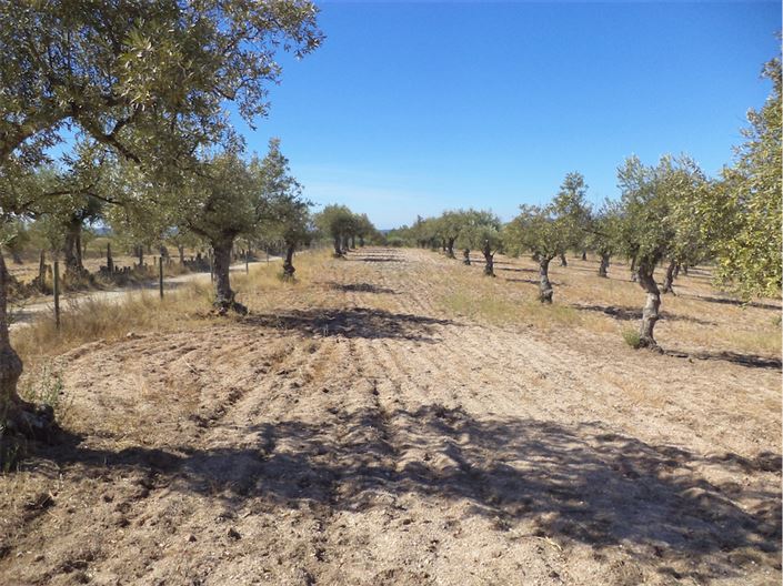 Image No.10-Property for sale