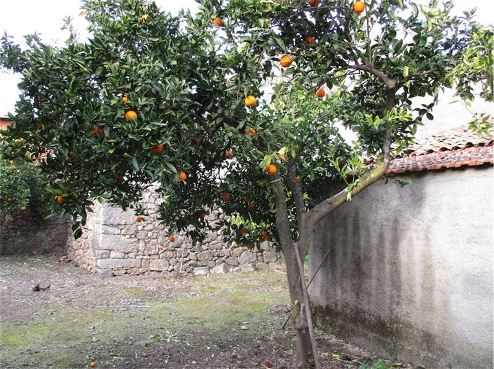 Image No.4-3 Bed Property for sale