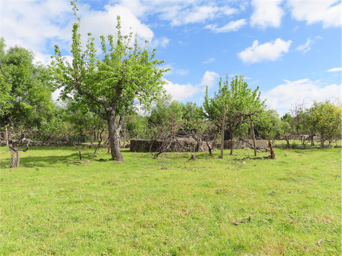 Image No.1-Property for sale