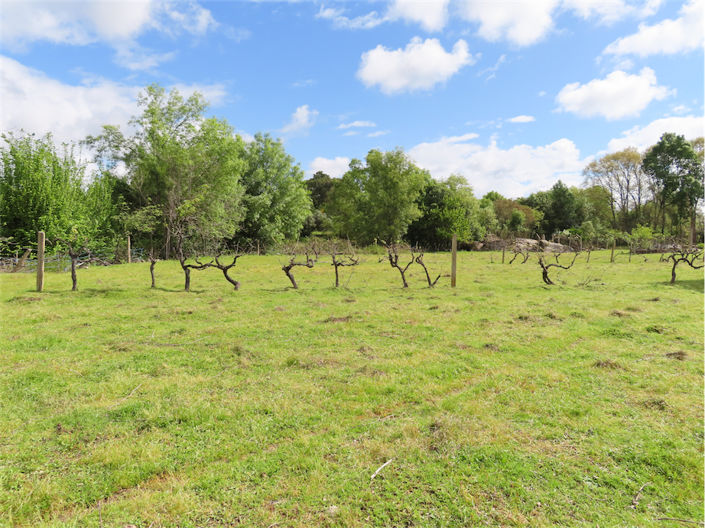 Image No.12-Property for sale