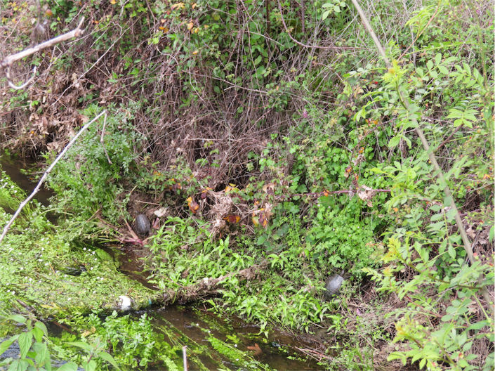 Image No.16-Property for sale