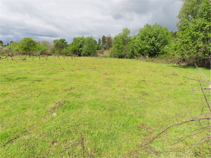 Image No.20-Property for sale