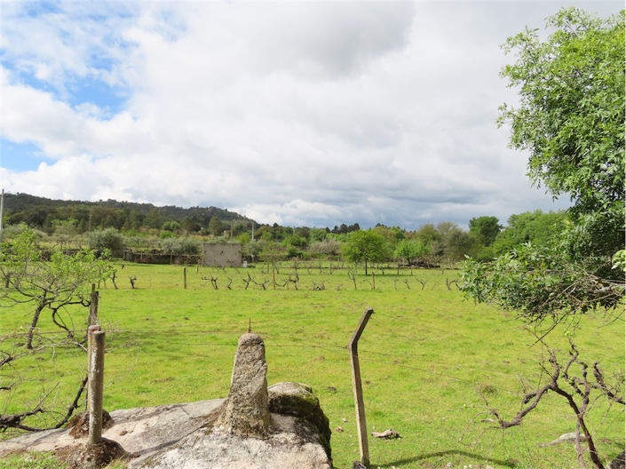 Image No.26-Property for sale