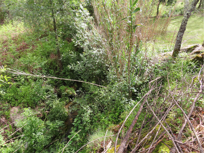 Image No.27-Property for sale