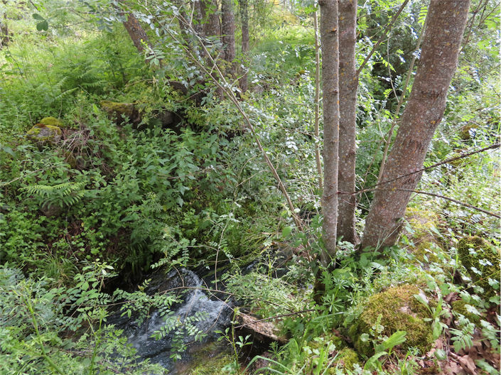 Image No.28-Property for sale