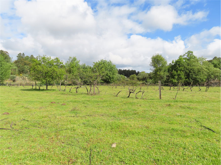 Image No.3-Property for sale