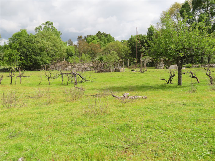 Image No.30-Property for sale