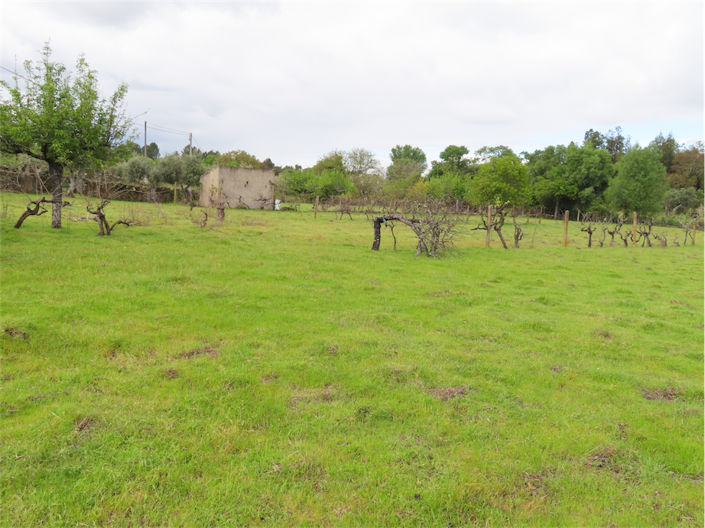 Image No.31-Property for sale